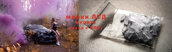 гидропоника Каменногорск